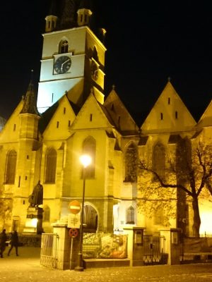 imgi_93_image