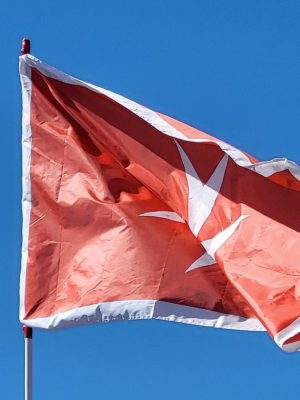 imgi_93_image