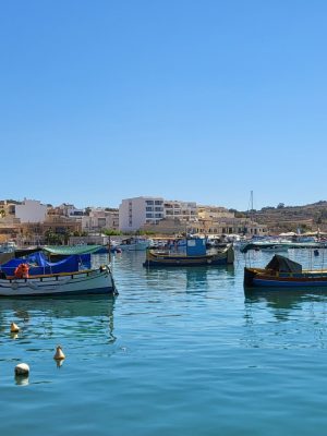 imgi_94_image