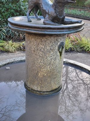 imgi_96_image