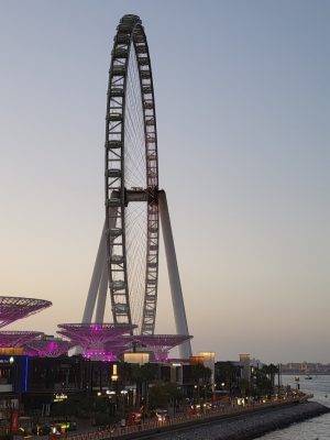 imgi_97_image
